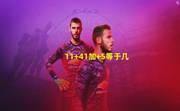 11+41加+5等于几