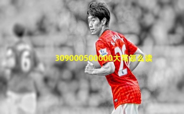 309000500000大写怎么读