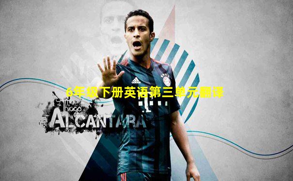 6年级下册英语第三单元翻译