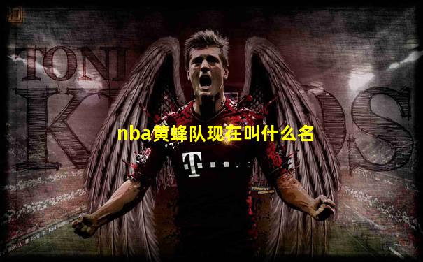 nba黄蜂队现在叫什么名