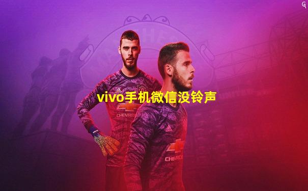 vivo手机微信没铃声