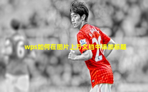 wps如何在图片上方文档中添加标题