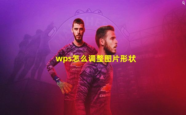 wps怎么调整图片形状
