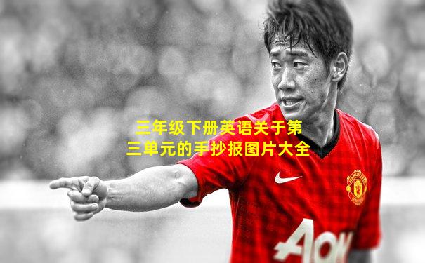 三年级下册英语关于第三单元的手抄报图片大全