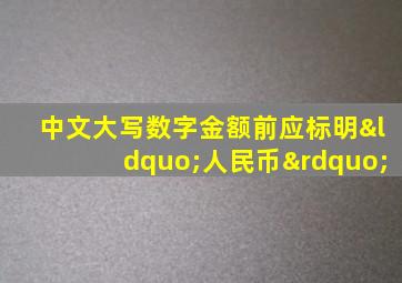 中文大写数字金额前应标明“人民币”