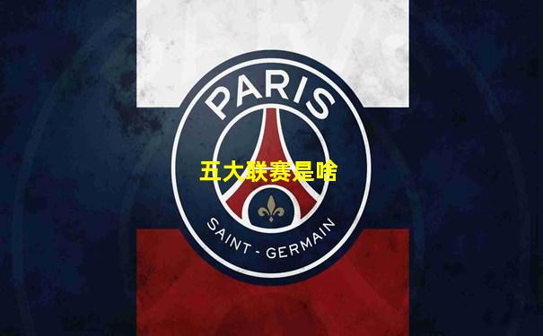 五大联赛是啥
