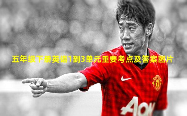 五年级下册英语1到3单元重要考点及答案图片
