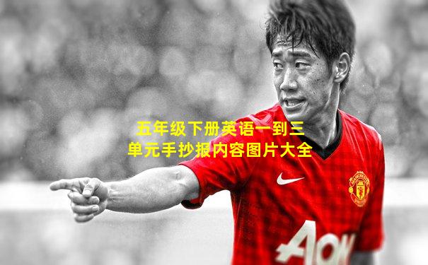 五年级下册英语一到三单元手抄报内容图片大全