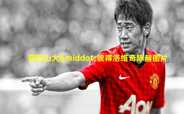 亚历山大·彼得洛维奇陈赫图片