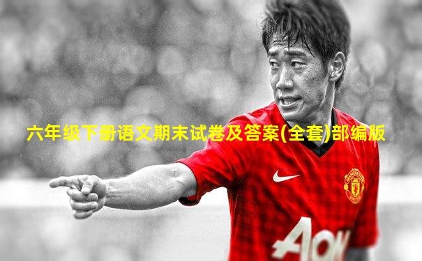 六年级下册语文期末试卷及答案(全套)部编版