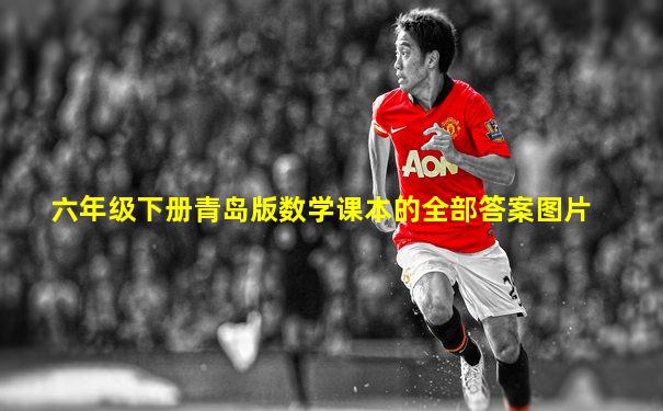 六年级下册青岛版数学课本的全部答案图片