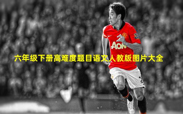 六年级下册高难度题目语文人教版图片大全