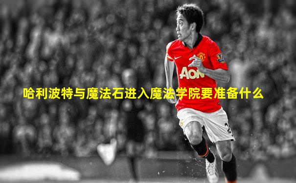 哈利波特与魔法石进入魔法学院要准备什么