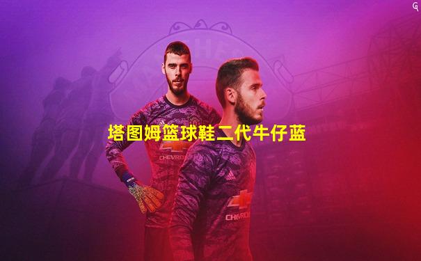 塔图姆篮球鞋二代牛仔蓝