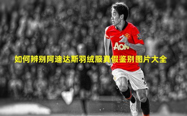 如何辨别阿迪达斯羽绒服真假鉴别图片大全