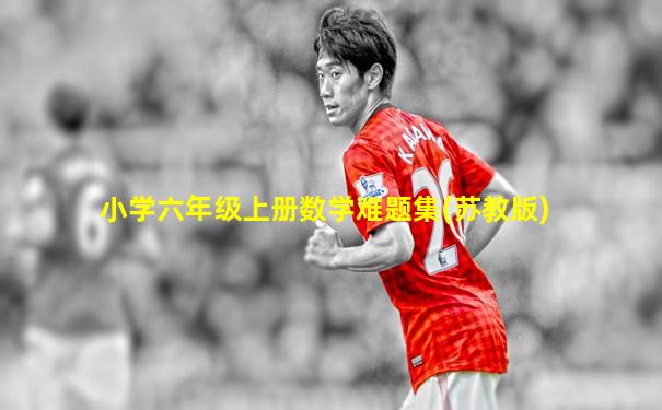 小学六年级上册数学难题集(苏教版)