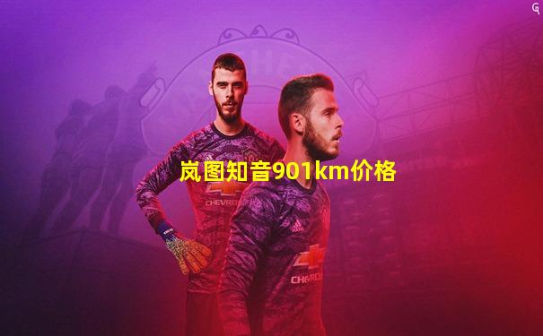 岚图知音901km价格