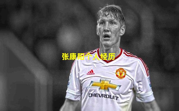 张康阳个人经历
