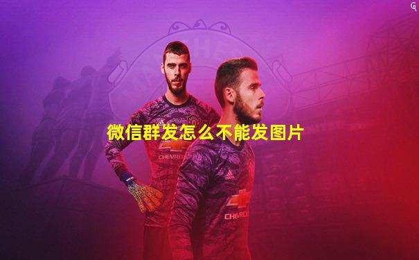 微信群发怎么不能发图片