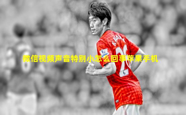 微信视频声音特别小怎么回事苹果手机