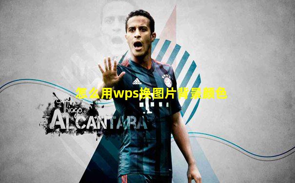 怎么用wps换图片背景颜色