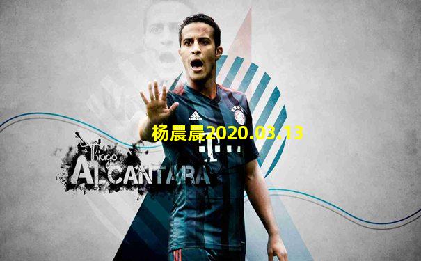 杨晨晨2020.03.13