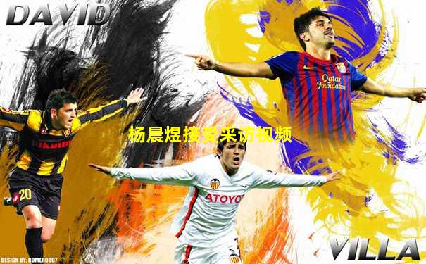 杨晨煜接受采访视频