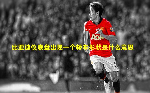 比亚迪仪表盘出现一个轿车形状是什么意思