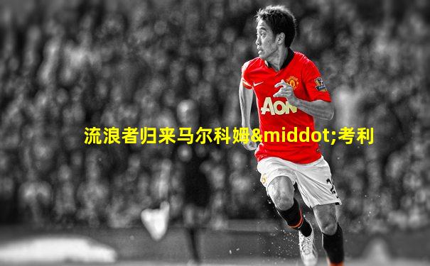流浪者归来马尔科姆·考利