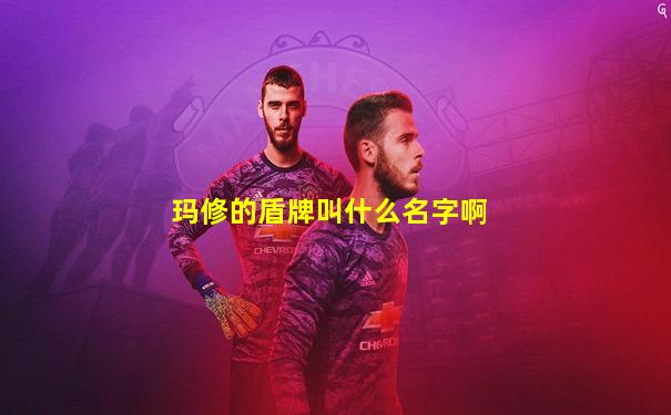 玛修的盾牌叫什么名字啊
