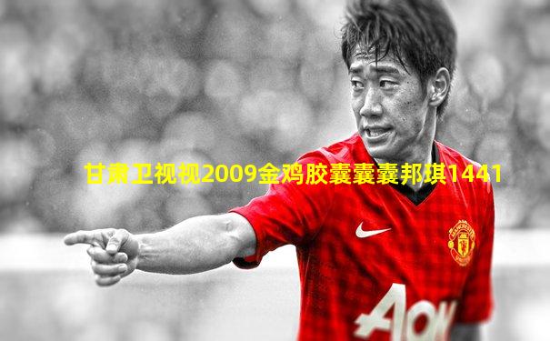 甘肃卫视视2009金鸡胶囊囊囊邦琪1441