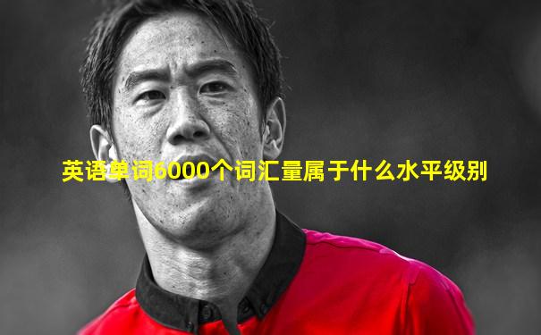 英语单词6000个词汇量属于什么水平级别