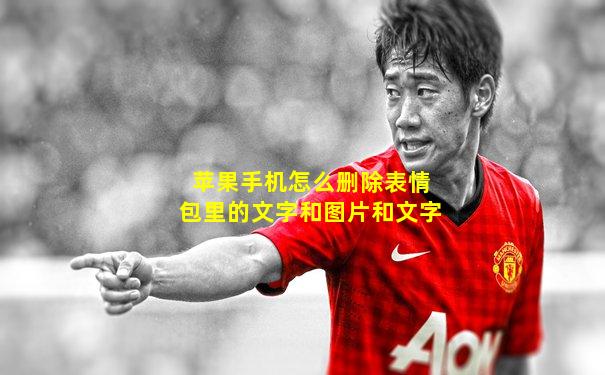 苹果手机怎么删除表情包里的文字和图片和文字