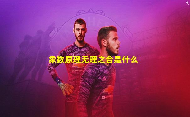 象数原理无理之合是什么