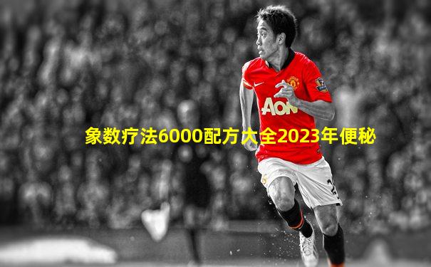 象数疗法6000配方大全2023年便秘