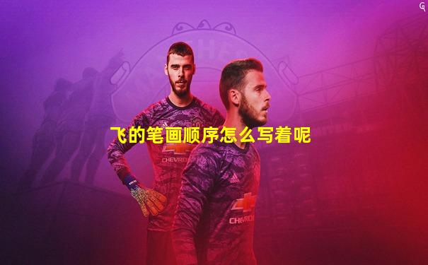 飞的笔画顺序怎么写着呢