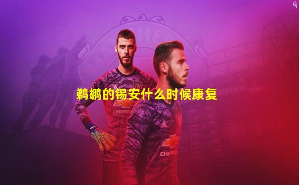 鹈鹕的锡安什么时候康复