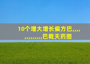 10个增大增长偏方巴,,,,,,,,,,,,,巴戟天药图