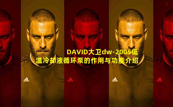 DAVID大卫dw-2005低温冷却液循环泵的作用与功能介绍