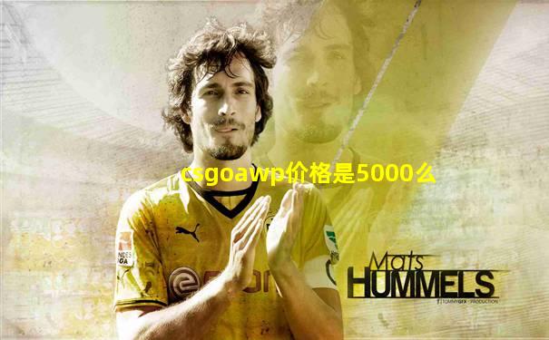 csgoawp价格是5000么