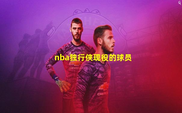 nba独行侠现役的球员