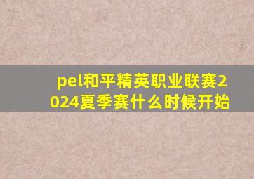 pel和平精英职业联赛2024夏季赛什么时候开始