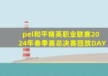 pel和平精英职业联赛2024年春季赛总决赛回放DAY