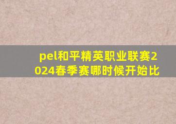 pel和平精英职业联赛2024春季赛哪时候开始比