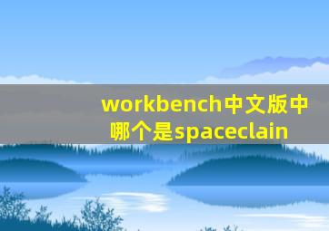 workbench中文版中哪个是spaceclain