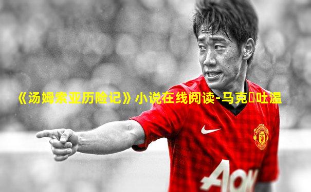 《汤姆索亚历险记》小说在线阅读-马克・吐温