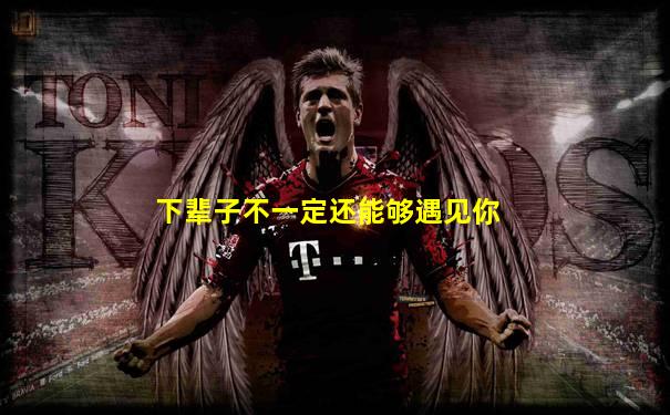 下辈子不一定还能够遇见你