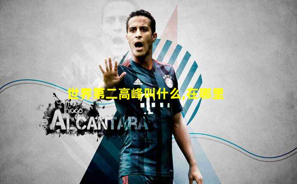 世界第二高峰叫什么,在哪里