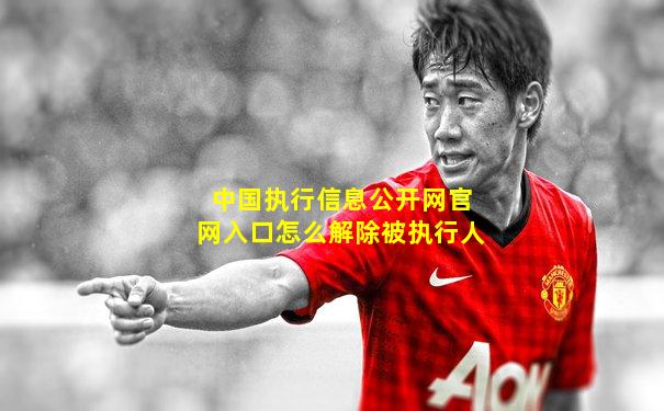 中国执行信息公开网官网入口怎么解除被执行人