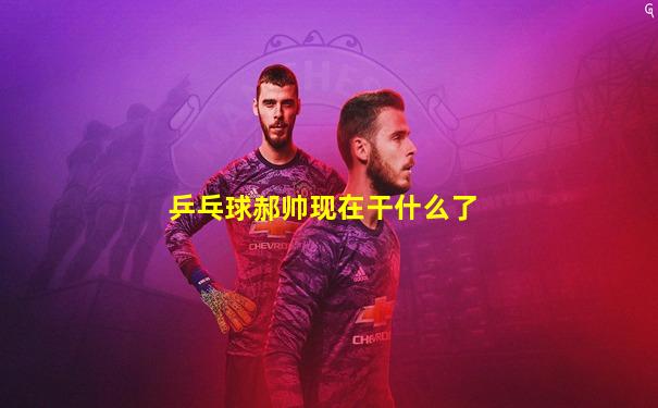 乒乓球郝帅现在干什么了